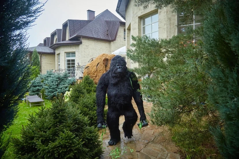 Шоу с Кинг-Конгом