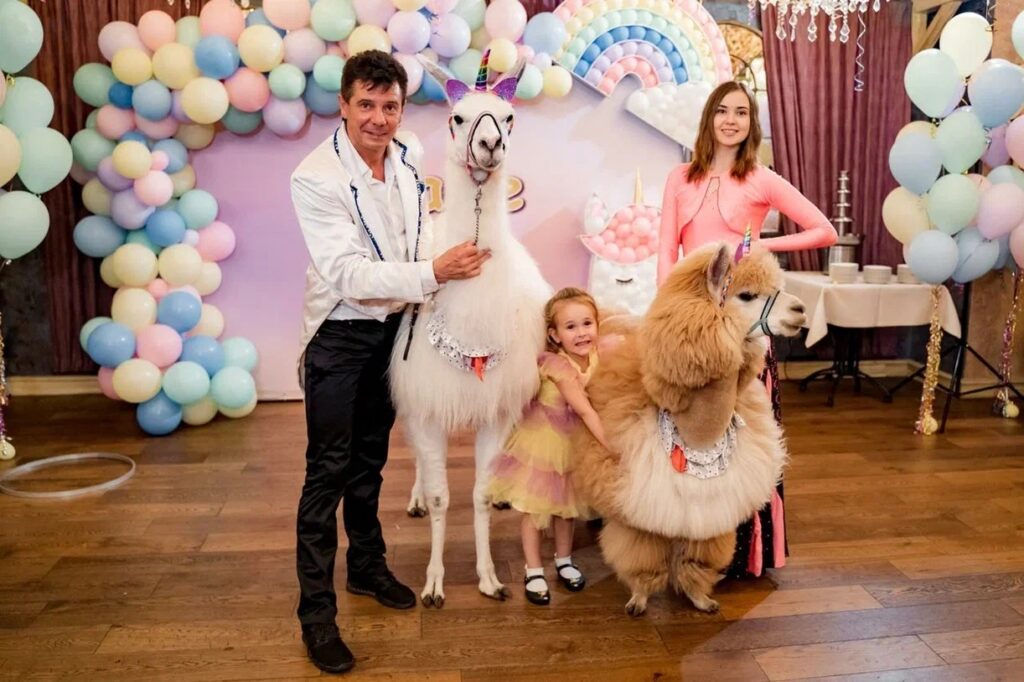 Шоу ламы и альпаки