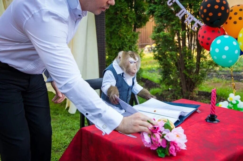 Обезьянка на званом ужине