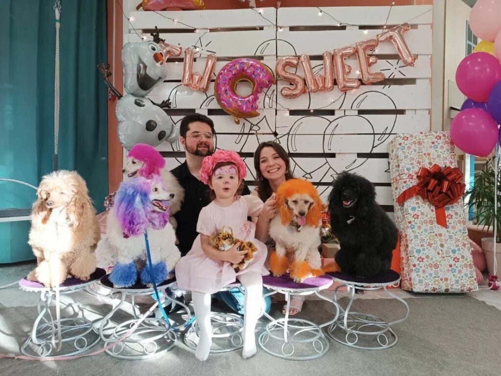 Дрессированные собачки