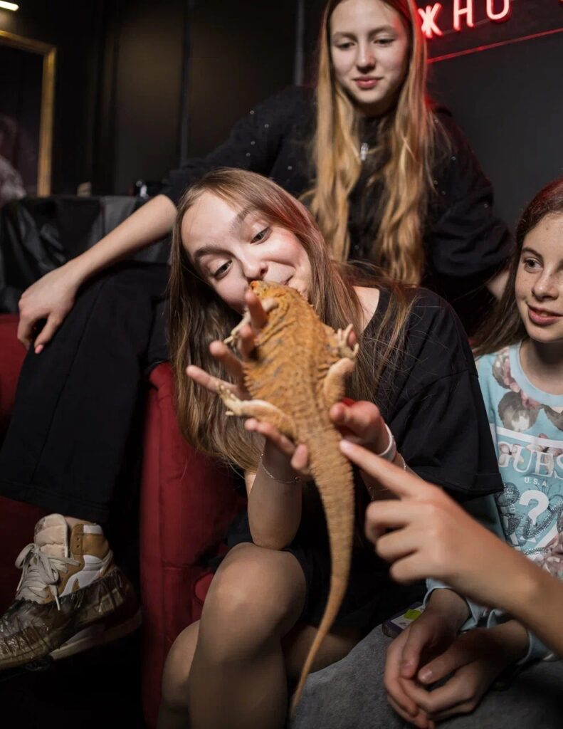 Трэш коробка с животными